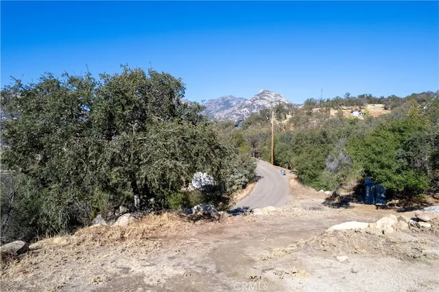 a view of a yard with a tree