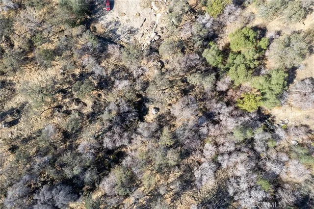 $99,999 | 45352 Hammond Drive, Three Rivers, CA 93271