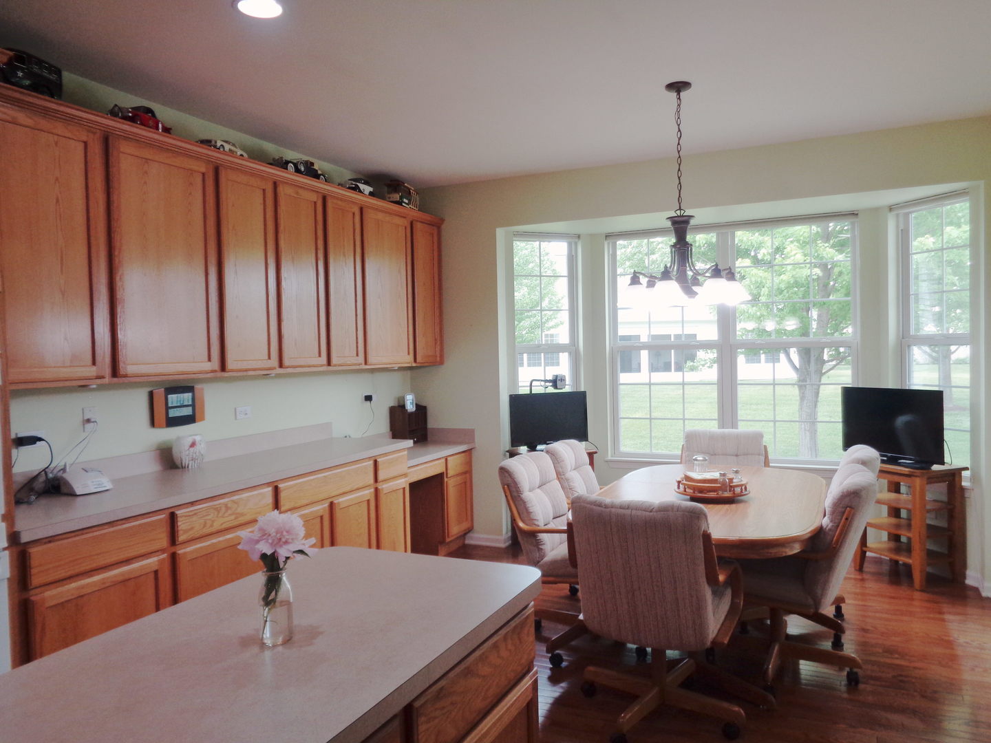 2504 Edgewater Drive Elgin, IL 60124 - Photo 6 of 29