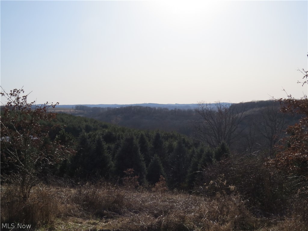 Nectar Road Salineville, OH 43945 - Photo 15 of 15 Gallery Image 15