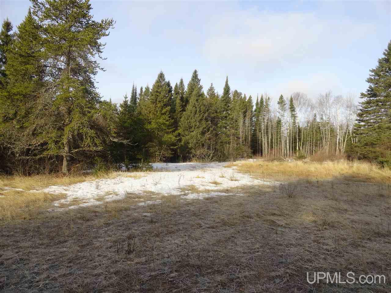 116-acres 116-acres Co Road Negaunee, MI 49866 - Photo 7 of 37