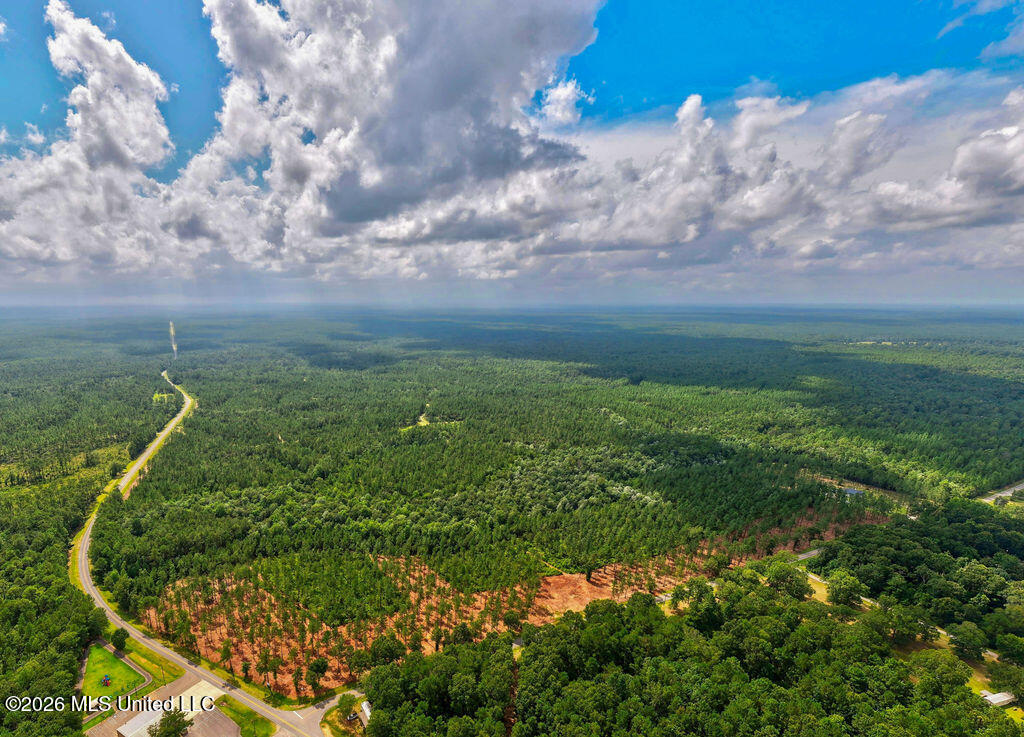 Nhn Lot 2 Nhn Road Saucier, MS 39574 - Photo 61 of 87 HiddenCreekEstatesNoLines-18