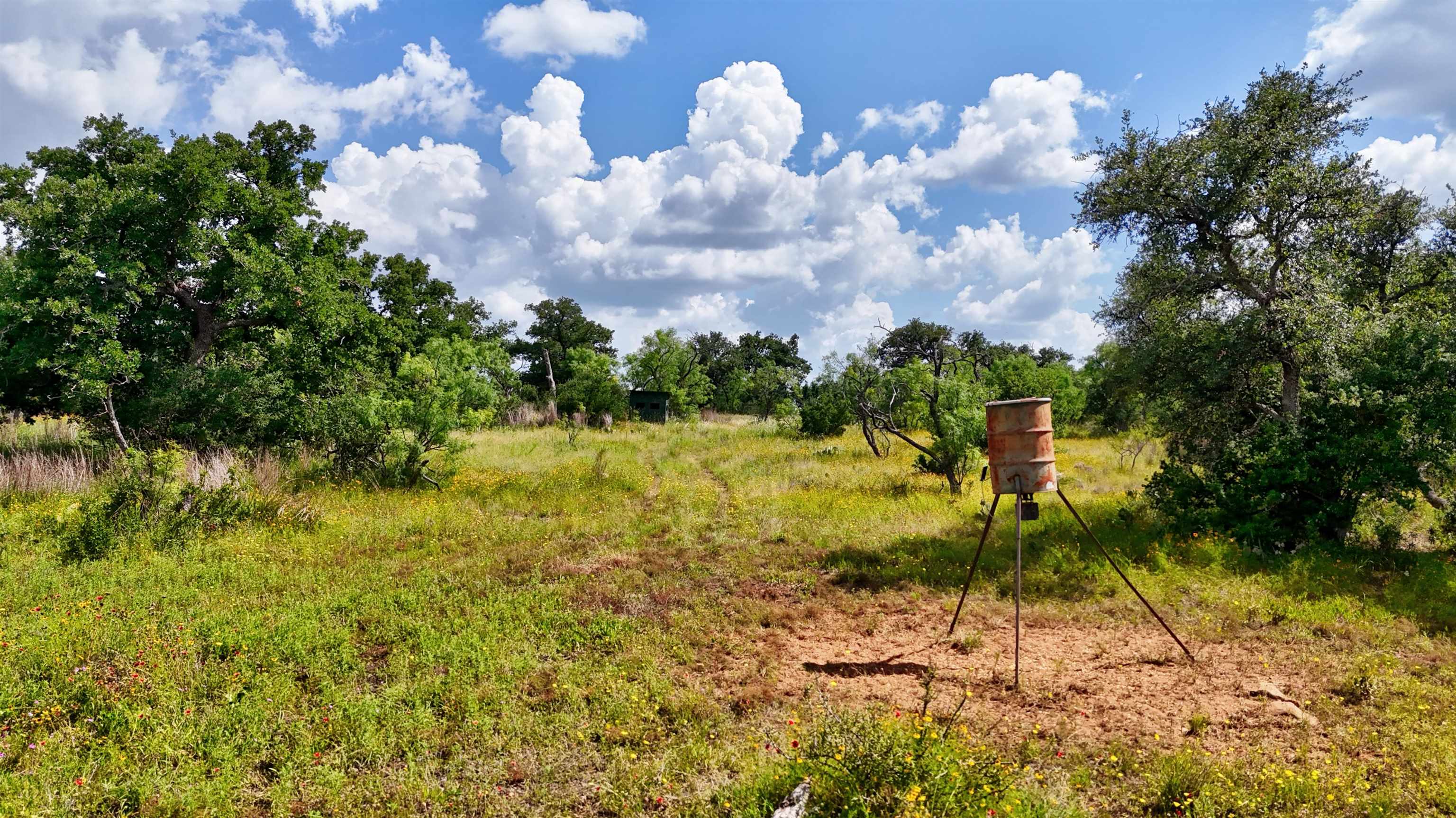 18248 Bode Peak Road Pontotoc, TX 76869 - Photo 11 of 18 Gallery Image 11
