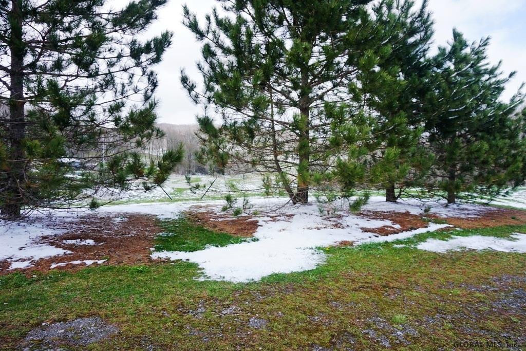 744 County Road 38 Decatur, NY 12197 - Photo 3 of 42 Photo 3