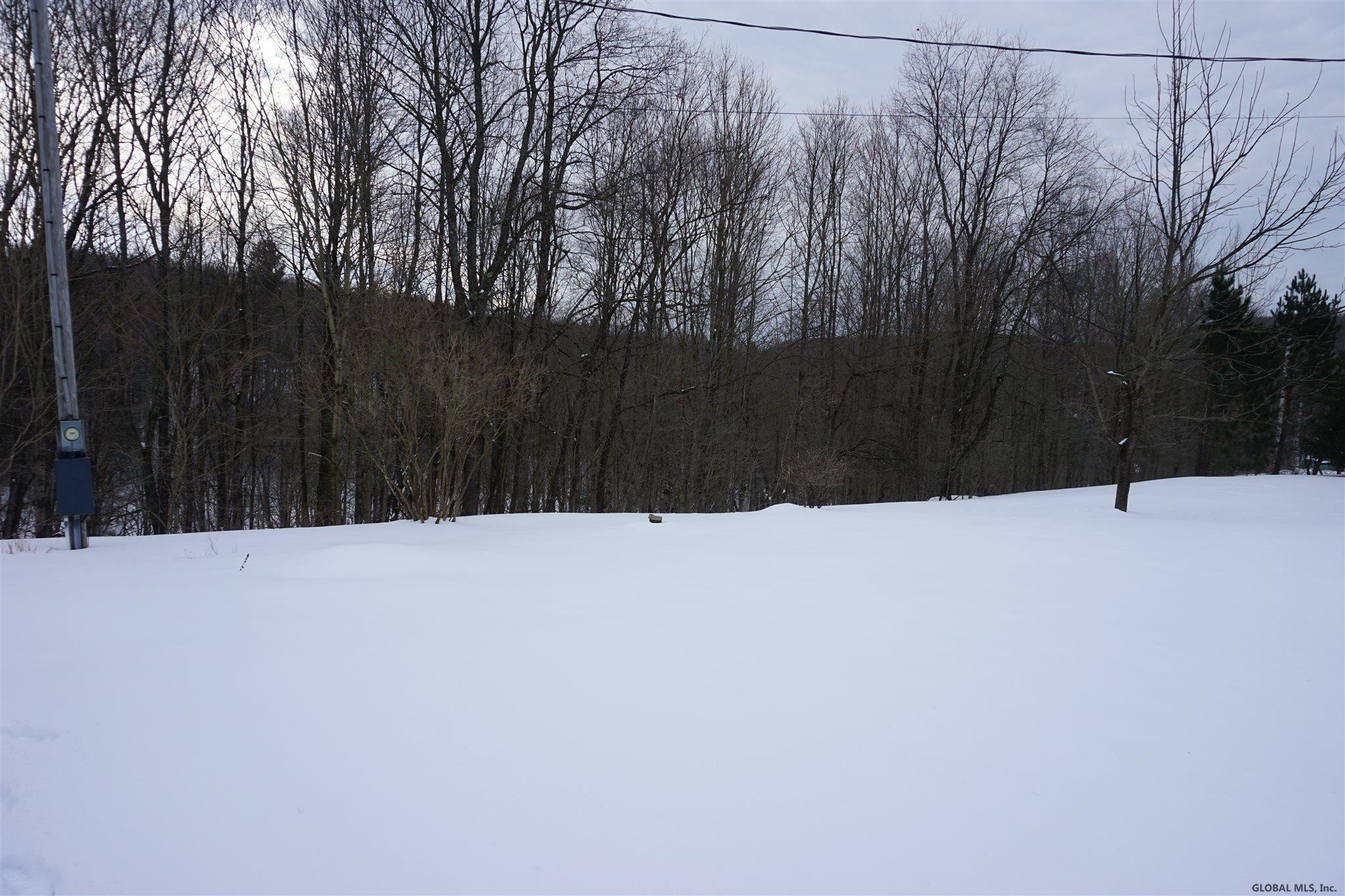 744 County Road 38 Decatur, NY 12197 - Photo 40 of 42 Photo 40