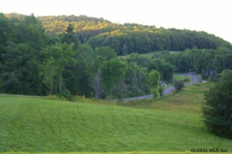 744 County Road 38 Decatur, NY 12197 - Photo 4 of 42 Photo 4