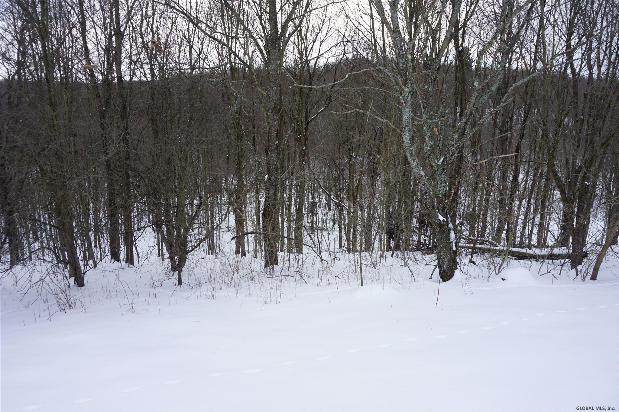 744 County Road 38 Decatur, NY 12197 - Photo 42 of 42 Photo 42