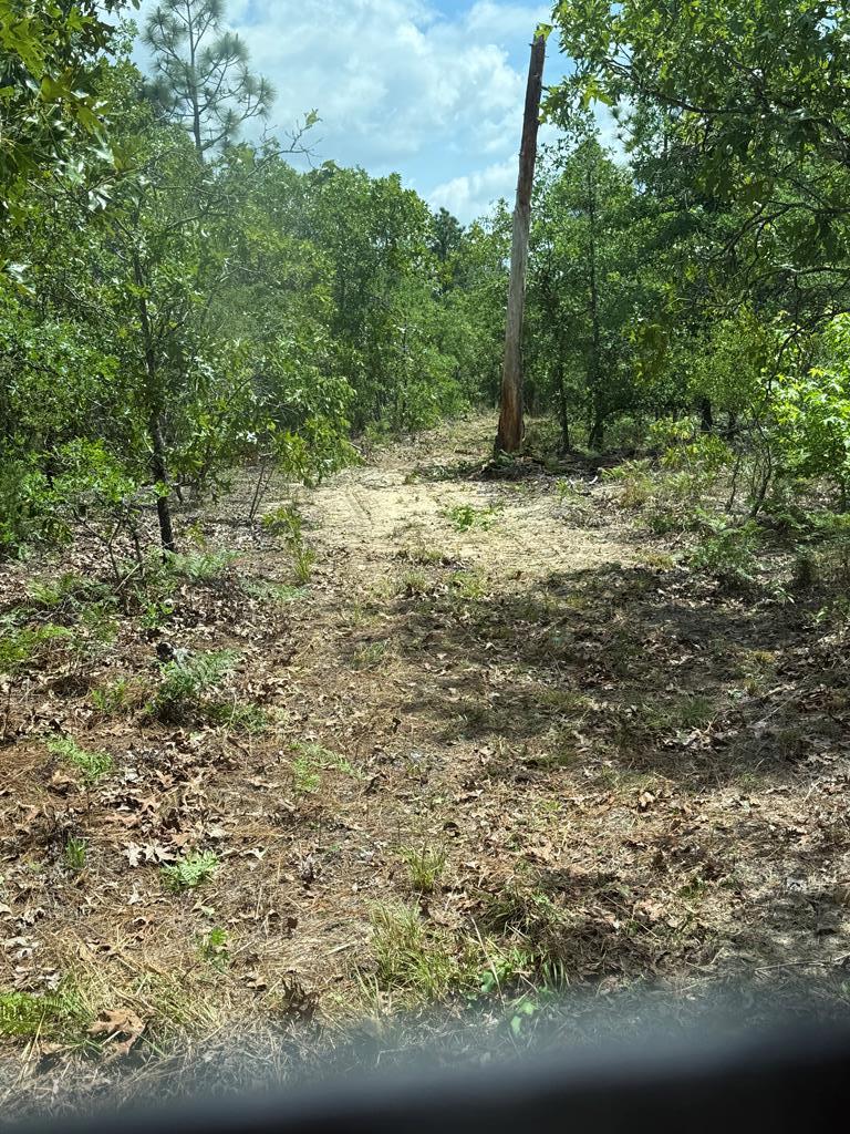 0 Bridle Path Lane Box Springs, GA 31801 - Photo 2 of 15 Gallery Image 2