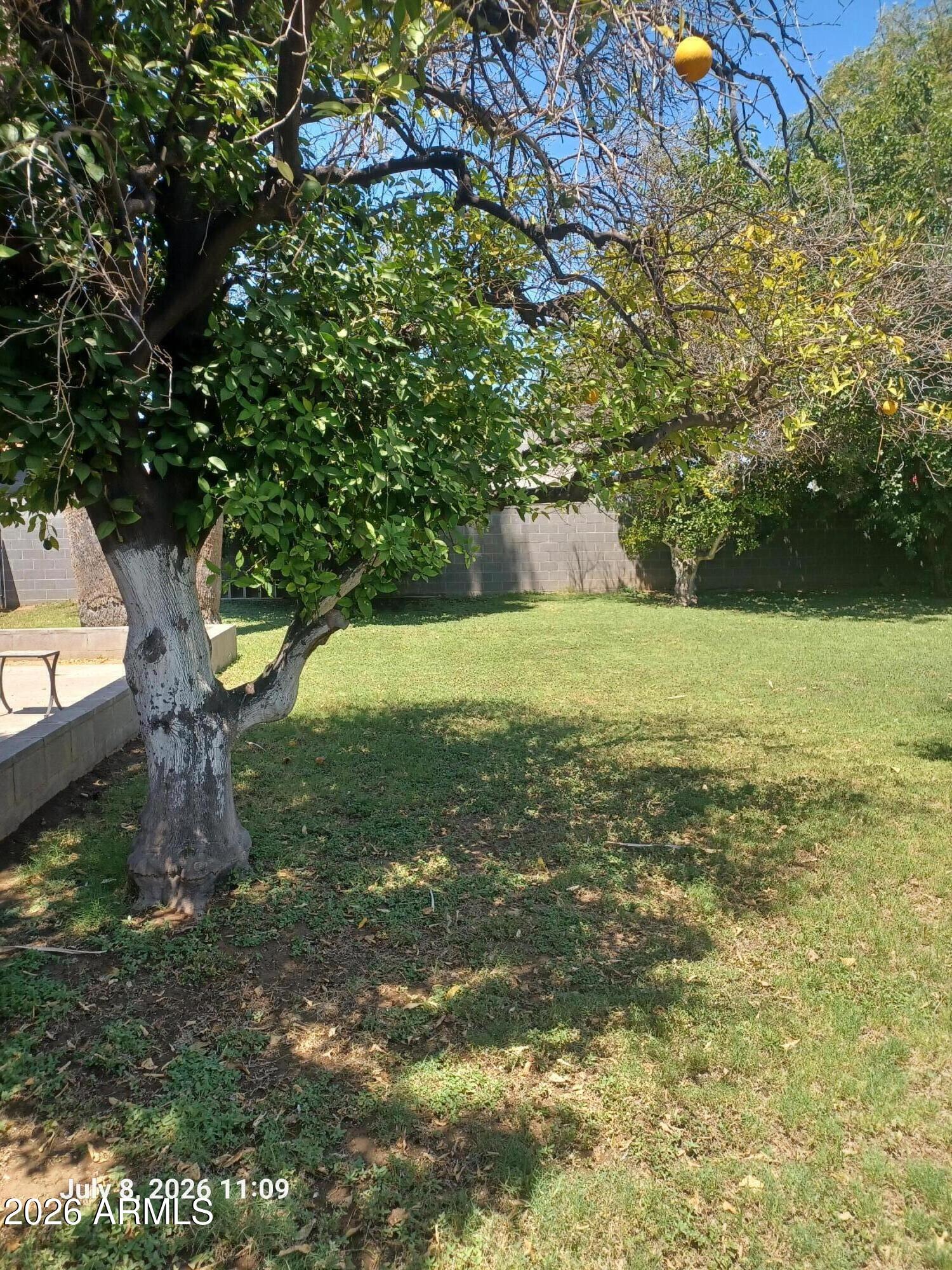 814 East Lamar Road Phoenix, AZ 85014 - Photo 14 of 15 20260708_110939