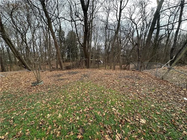 a view of a yard with trees