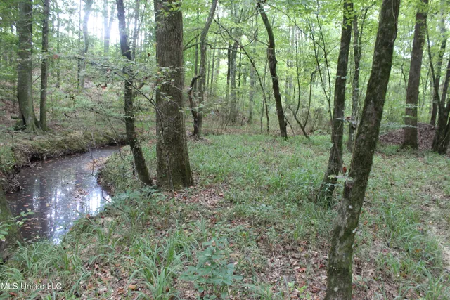 $56,600 | Northeast Hopewell Road Northeast, Sontag, MS 39665