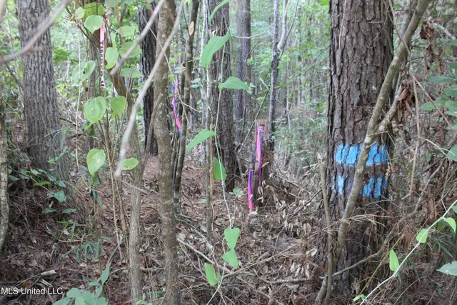 $49,400 | Northeast Hopewell Road Northeast, Sontag, MS 39665