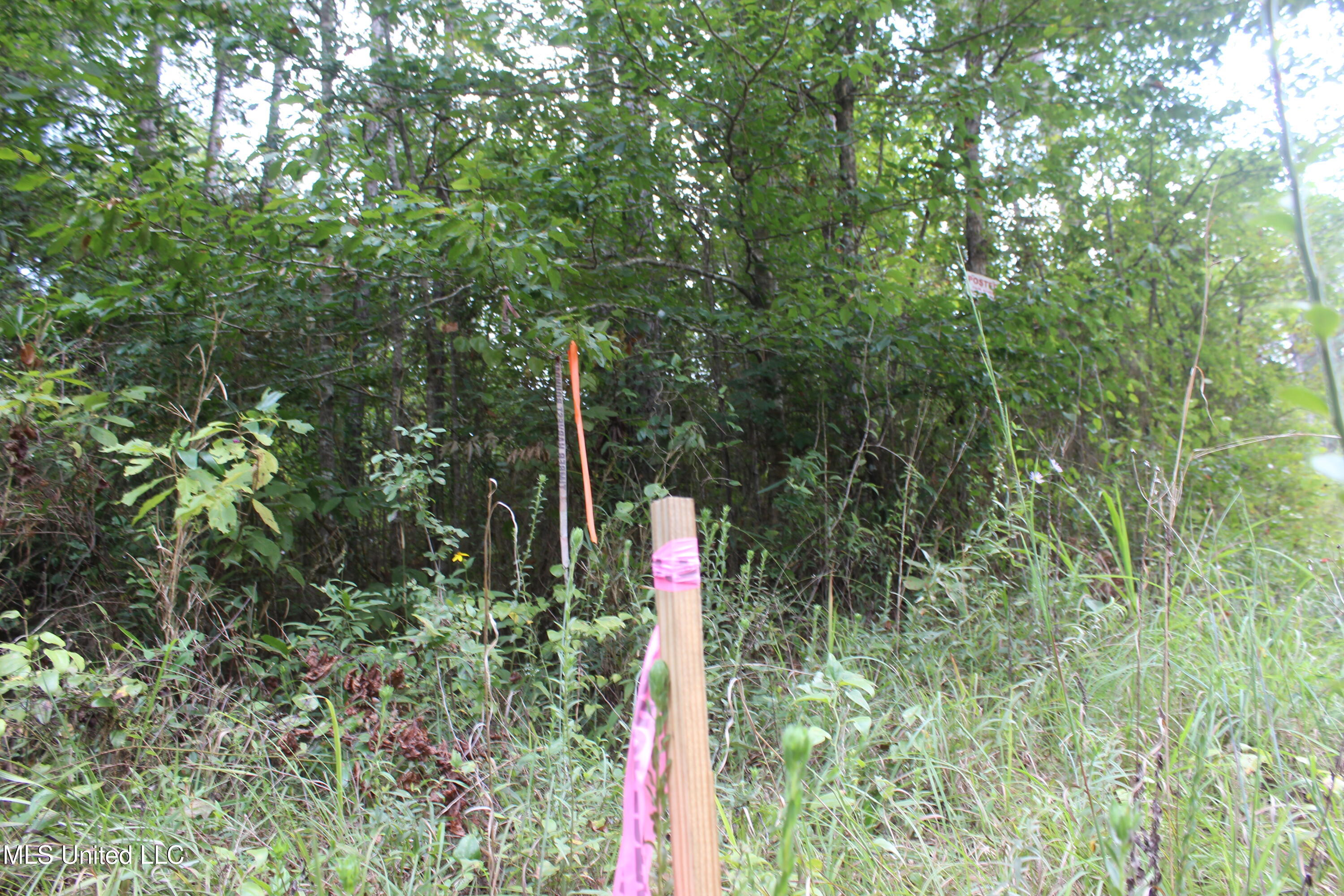 Northeast Hopewell Road Northeast Sontag, MS 39665 - Photo 12 of 12 7.21 ac McDavid Road (26)