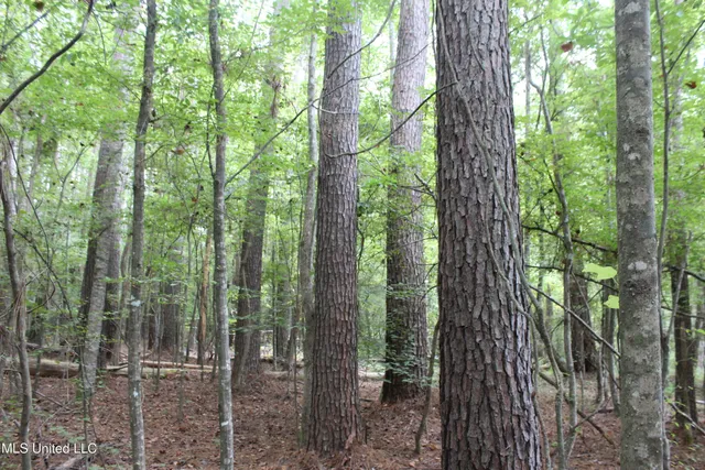 $49,400 | Northeast Hopewell Road Northeast, Sontag, MS 39665