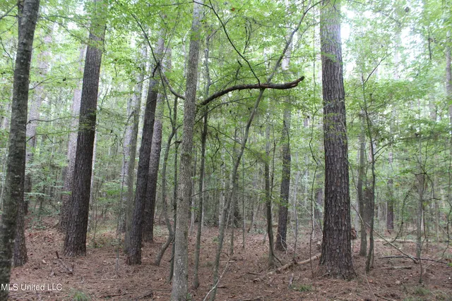 $49,400 | Northeast Hopewell Road Northeast, Sontag, MS 39665