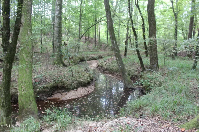 $49,400 | Northeast Hopewell Road Northeast, Sontag, MS 39665