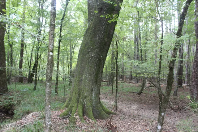 $49,400 | Northeast Hopewell Road Northeast, Sontag, MS 39665