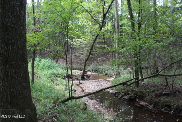 $49,400 | Northeast Hopewell Road Northeast, Sontag, MS 39665