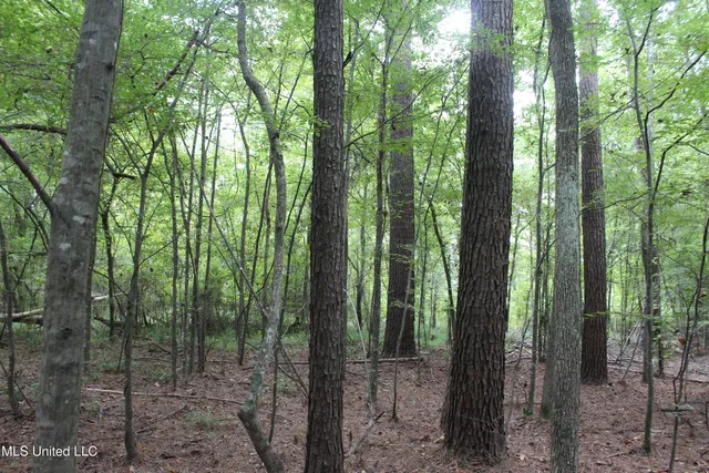 $49,400 | Northeast Hopewell Road Northeast, Sontag, MS 39665