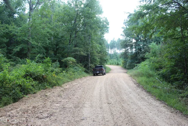 $49,400 | Northeast Hopewell Road Northeast, Sontag, MS 39665