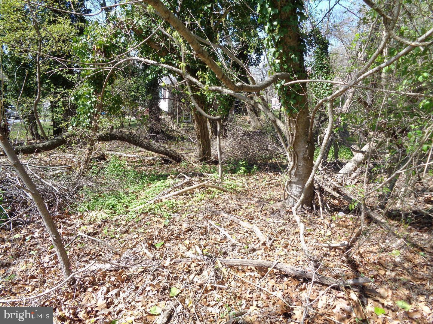 0 Piscataway Clinton, MD 20735 - Photo 2 of 8 a backyard of a house with lots of green space