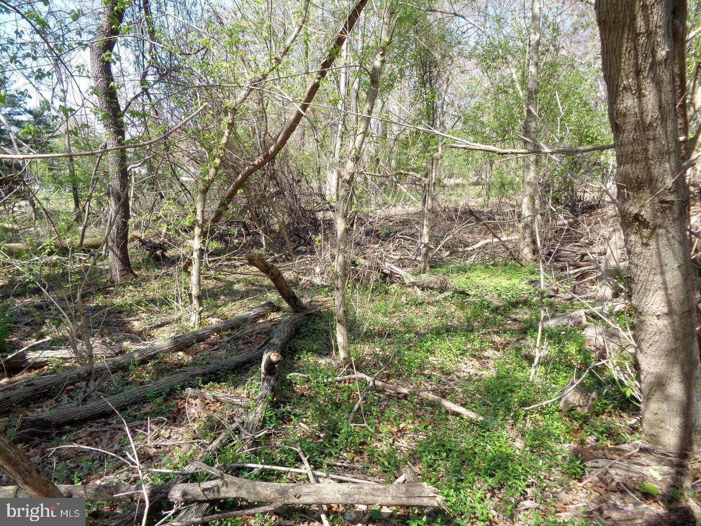 0 Piscataway Clinton, MD 20735 - Photo 5 of 8 a backyard of a house with lots of green space
