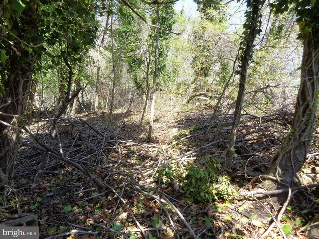 $85,000 | 0 Piscataway, Clinton, MD 20735