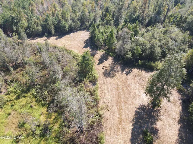 $195,000 | 0 Brushey Pond Road, Grand Ridge, FL 32442