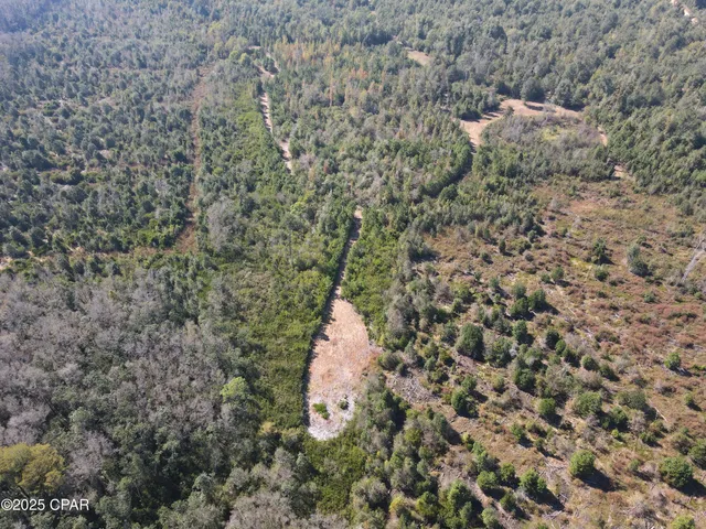 $195,000 | 0 Brushey Pond Road, Grand Ridge, FL 32442