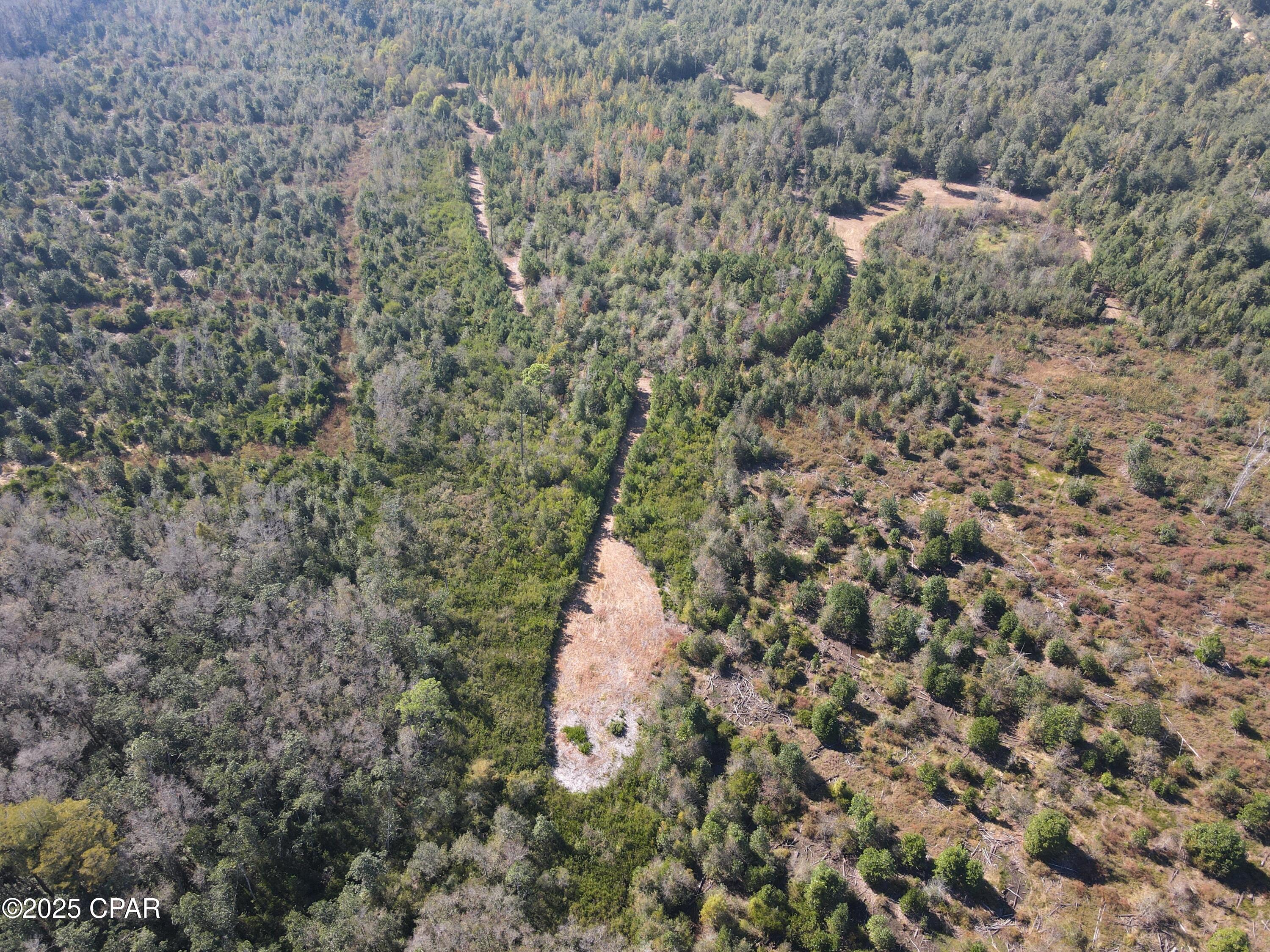 0 Brushey Pond Road Grand Ridge, FL 32442 - Photo 11 of 28