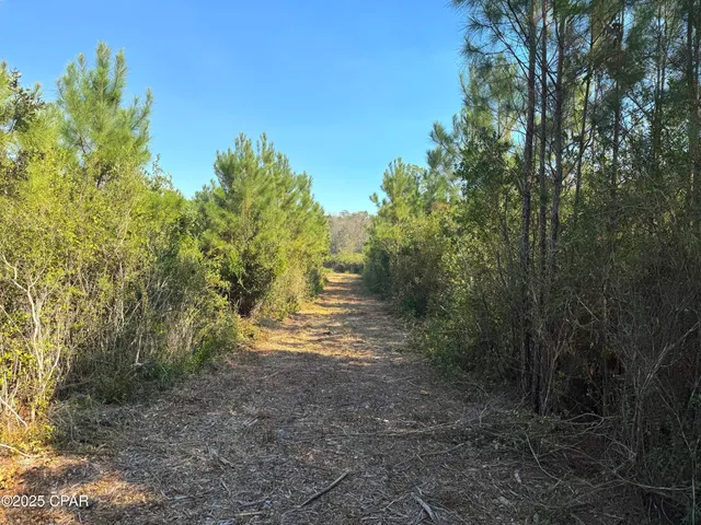 $195,000 | 0 Brushey Pond Road, Grand Ridge, FL 32442