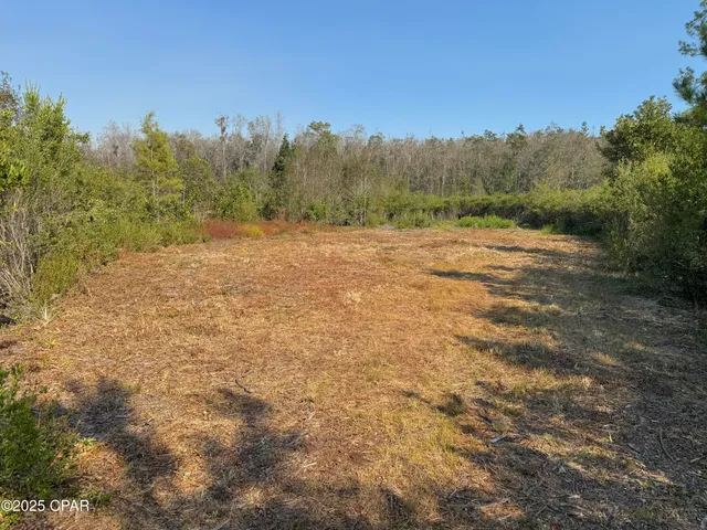 $195,000 | 0 Brushey Pond Road, Grand Ridge, FL 32442