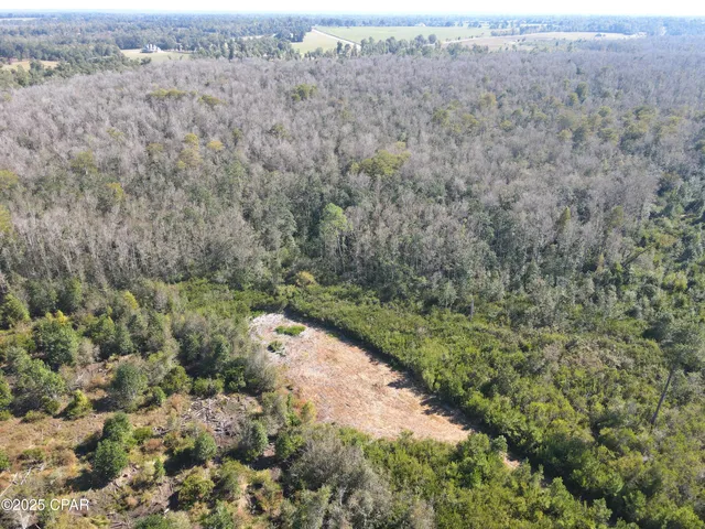 $195,000 | 0 Brushey Pond Road, Grand Ridge, FL 32442