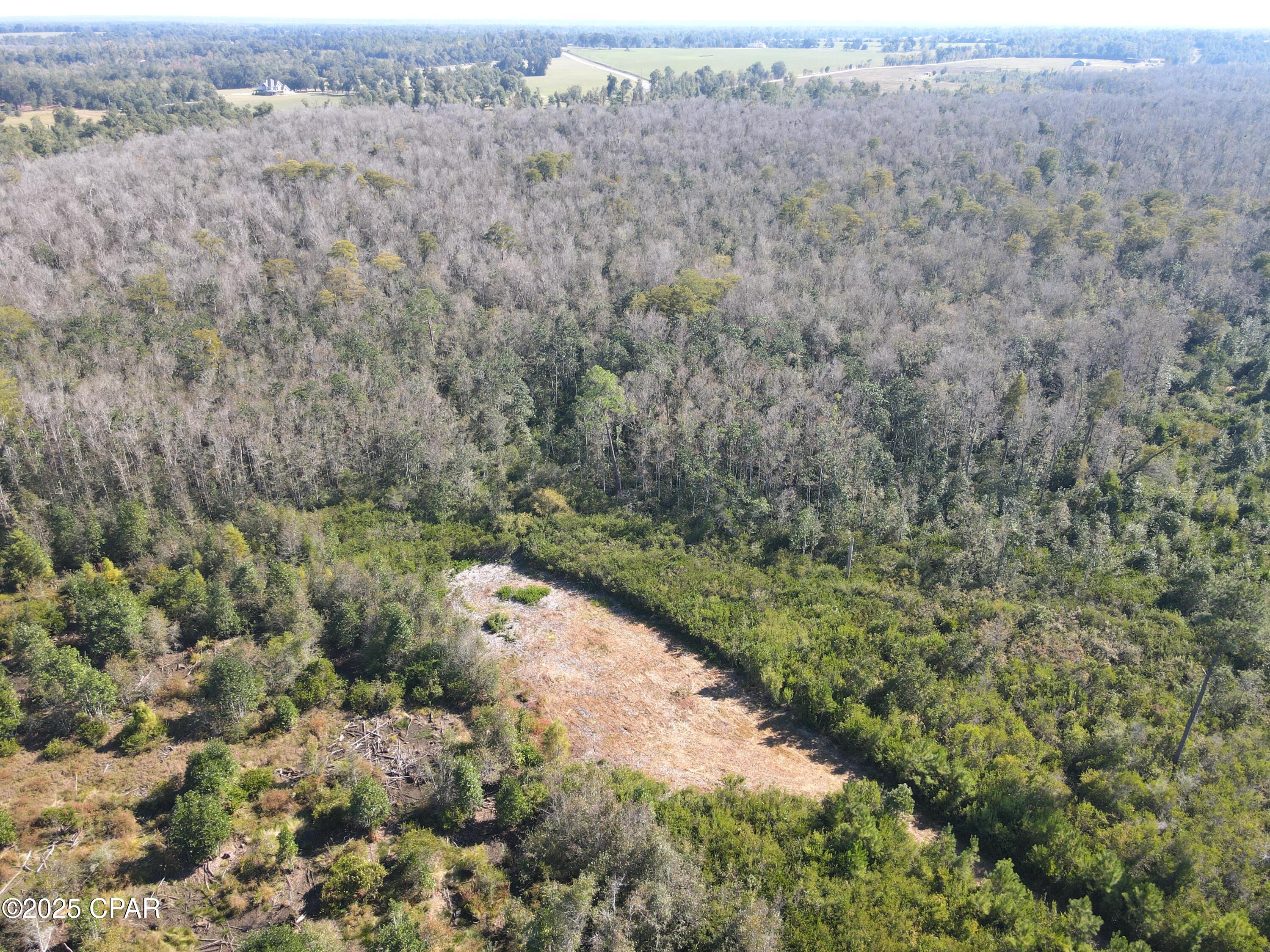 0 Brushey Pond Road Grand Ridge, FL 32442 - Photo 14 of 28