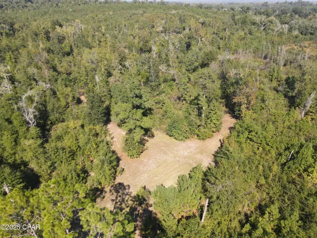 $195,000 | 0 Brushey Pond Road, Grand Ridge, FL 32442