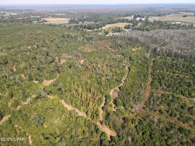 $195,000 | 0 Brushey Pond Road, Grand Ridge, FL 32442