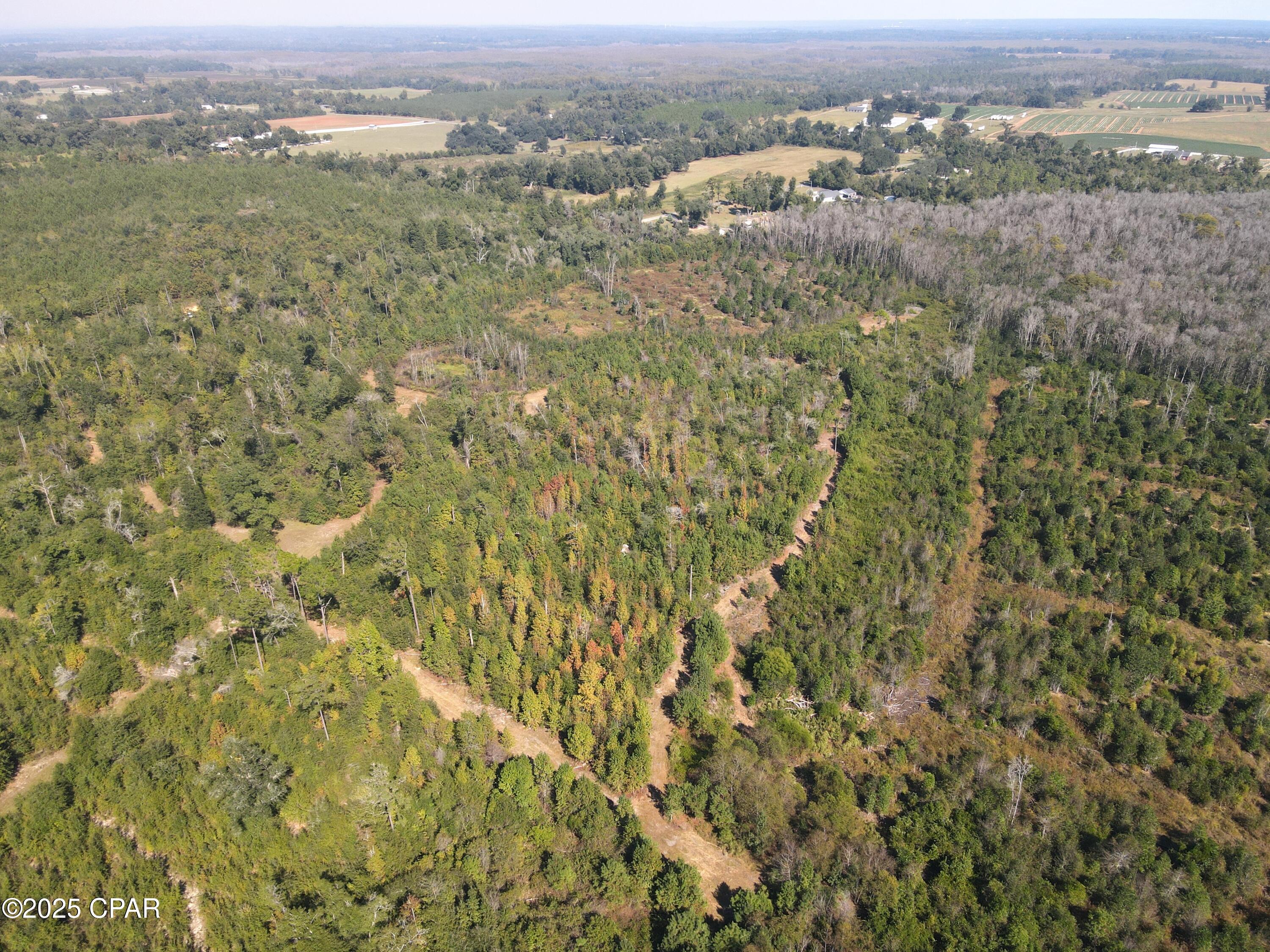 0 Brushey Pond Road Grand Ridge, FL 32442 - Photo 16 of 28