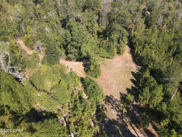 $195,000 | 0 Brushey Pond Road, Grand Ridge, FL 32442