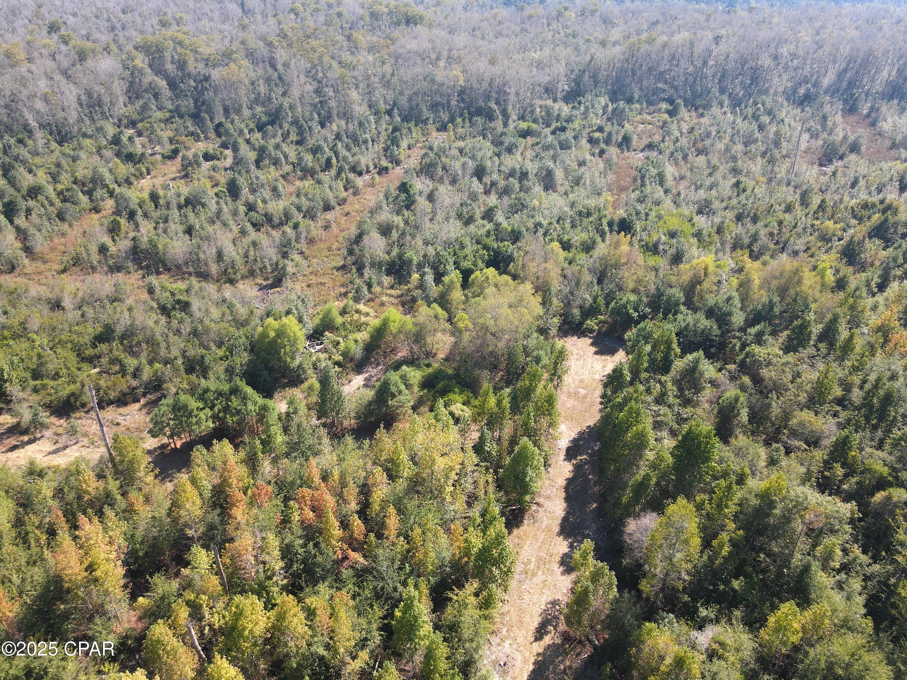 0 Brushey Pond Road Grand Ridge, FL 32442 - Photo 18 of 28