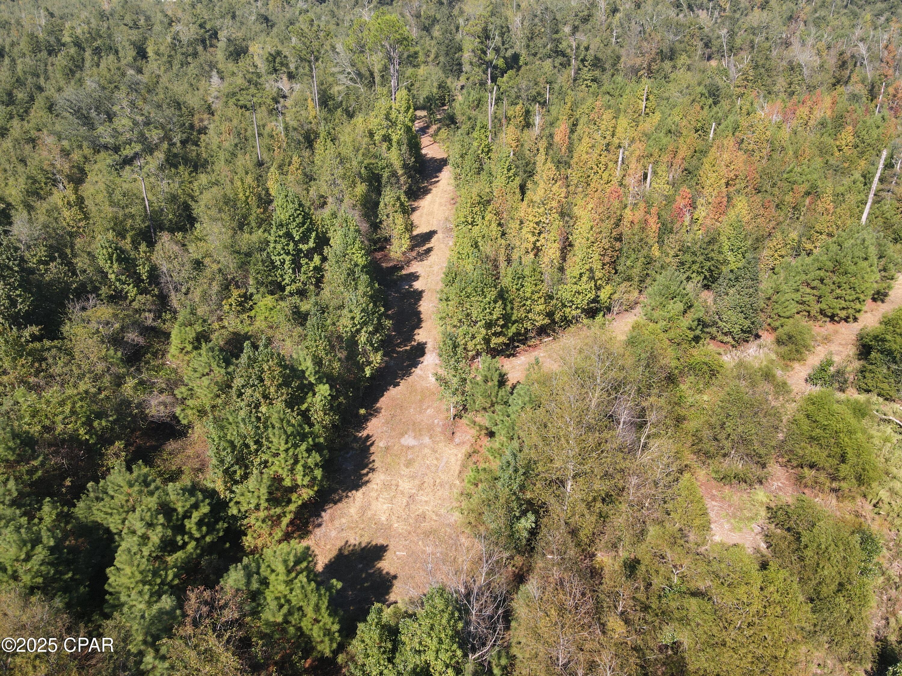 0 Brushey Pond Road Grand Ridge, FL 32442 - Photo 19 of 28