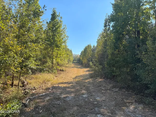 $195,000 | 0 Brushey Pond Road, Grand Ridge, FL 32442