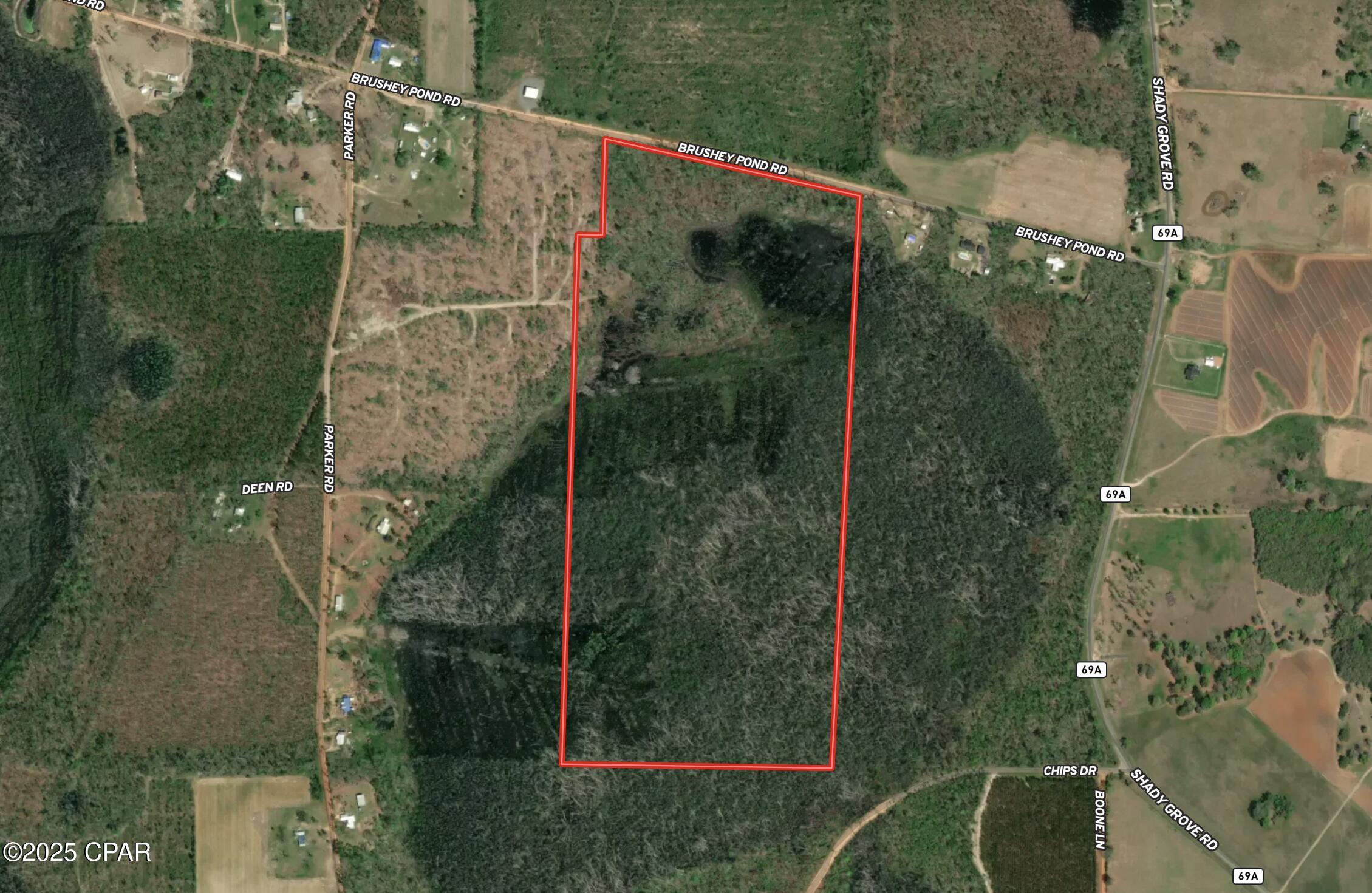 0 Brushey Pond Road Grand Ridge, FL 32442 - Photo 2 of 28