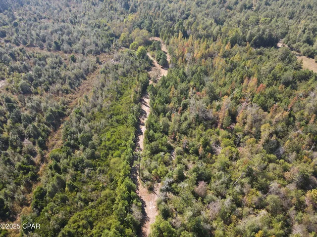 $195,000 | 0 Brushey Pond Road, Grand Ridge, FL 32442