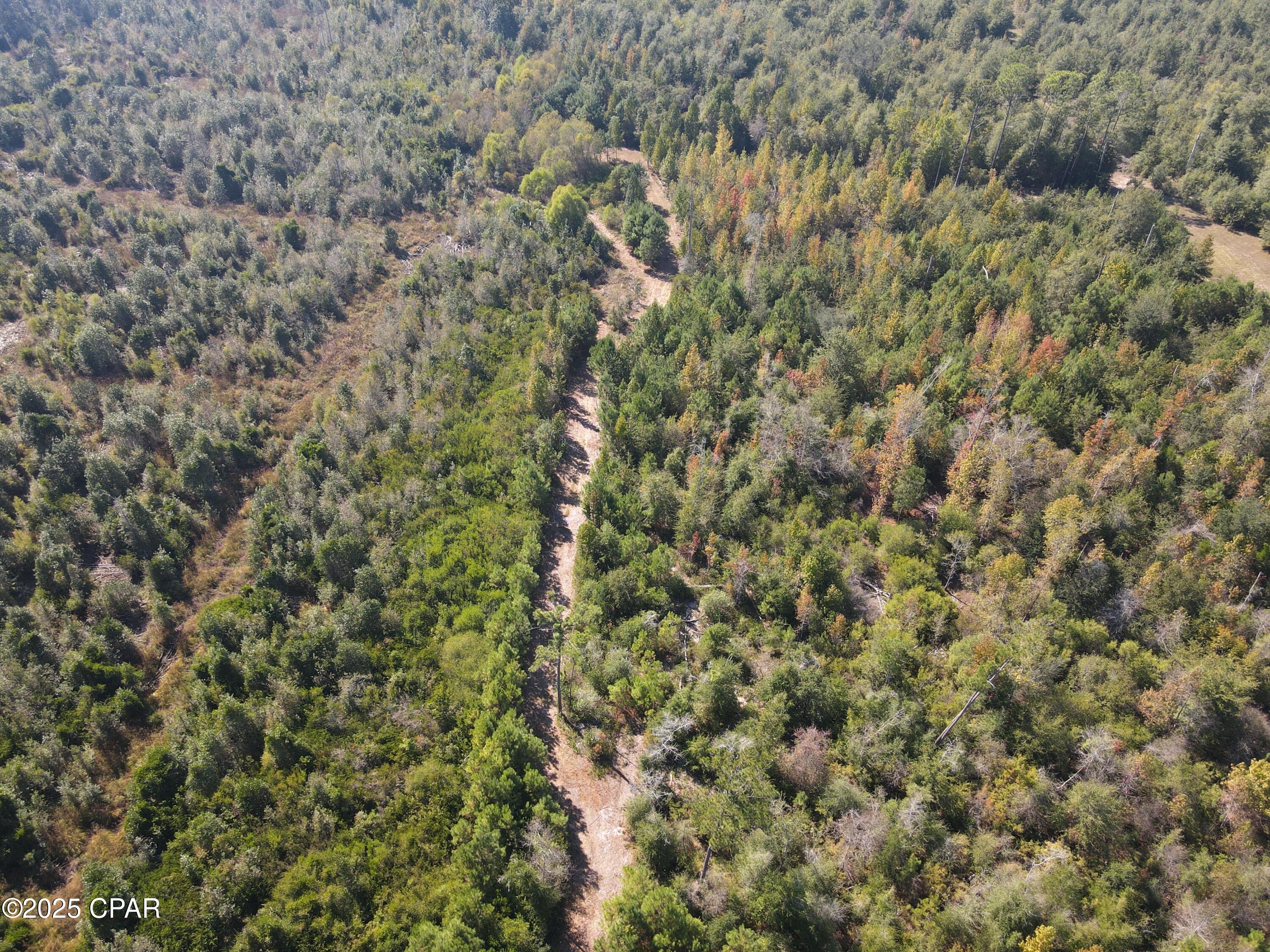 0 Brushey Pond Road Grand Ridge, FL 32442 - Photo 21 of 28