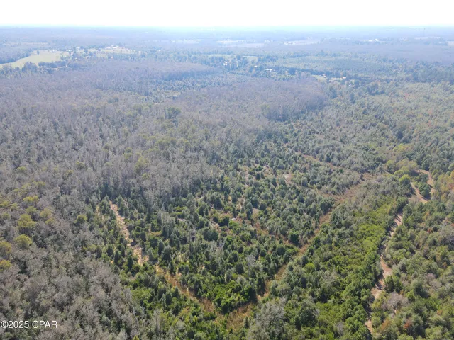 $195,000 | 0 Brushey Pond Road, Grand Ridge, FL 32442