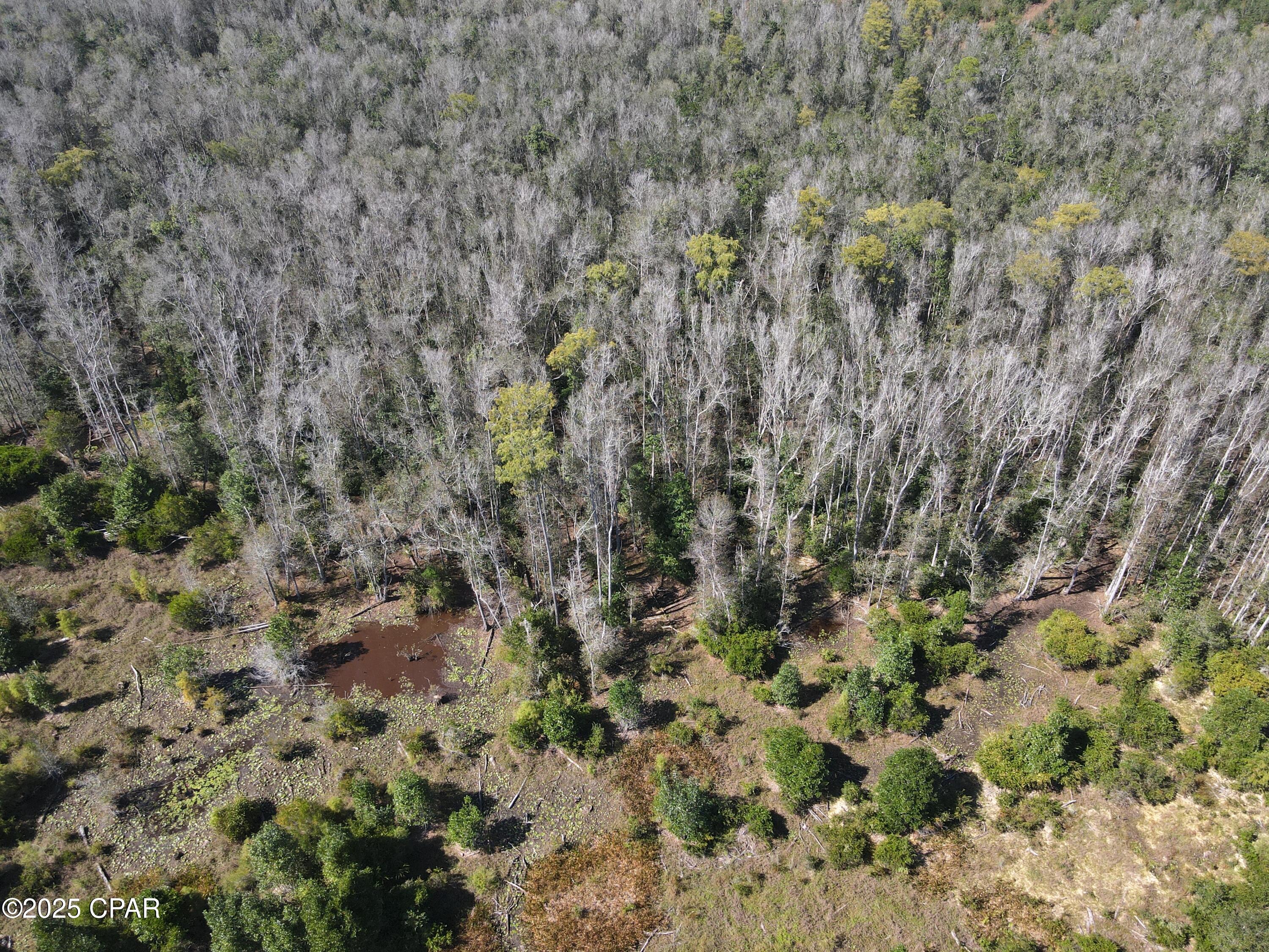 0 Brushey Pond Road Grand Ridge, FL 32442 - Photo 23 of 28