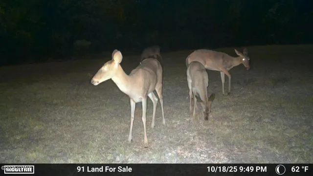 $195,000 | 0 Brushey Pond Road, Grand Ridge, FL 32442