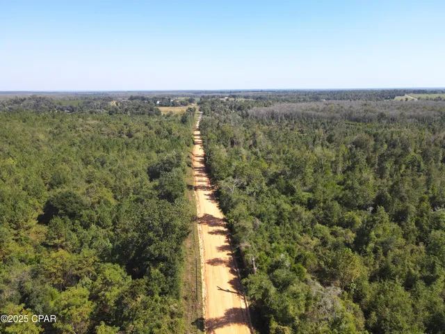 $195,000 | 0 Brushey Pond Road, Grand Ridge, FL 32442