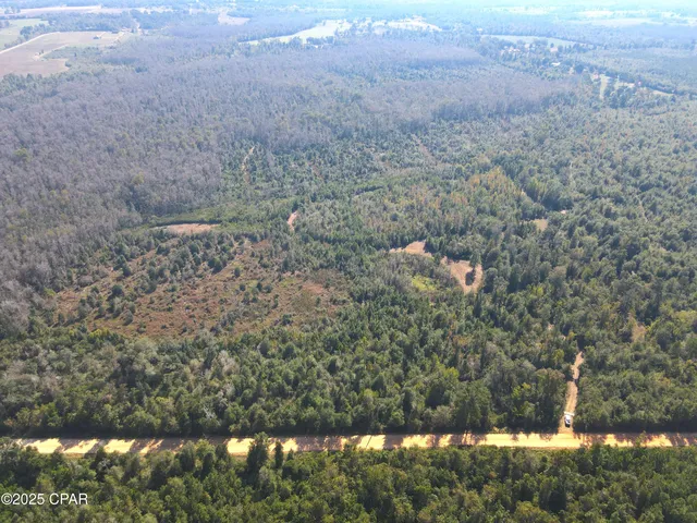 $195,000 | 0 Brushey Pond Road, Grand Ridge, FL 32442