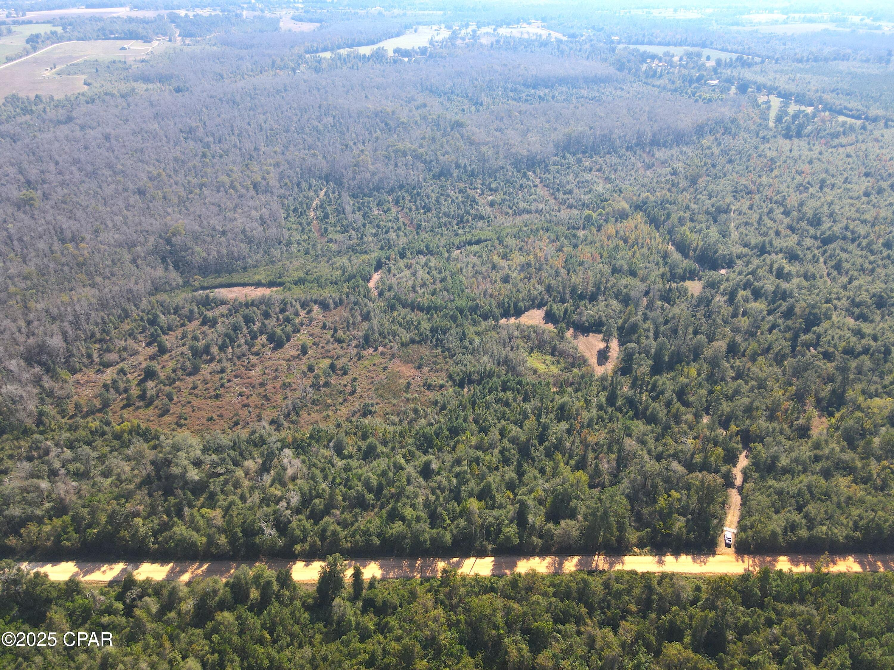 0 Brushey Pond Road Grand Ridge, FL 32442 - Photo 3 of 28